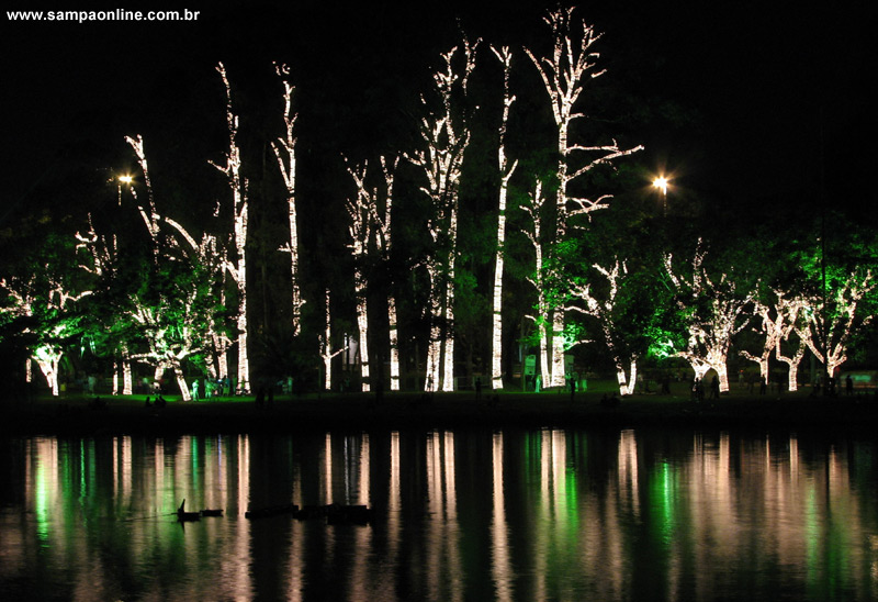 rvores  beira do lago do Parque do Ibirapuera