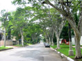 Avenida Rebouas,Jardins