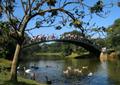 Ponte Metálica no Parque do Ibirapuera