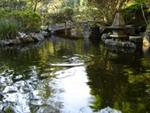 Lago do jardim japons