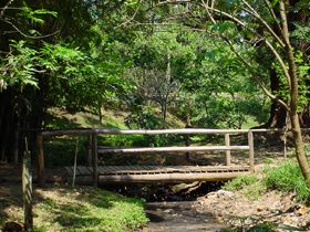 Ponte de madeira