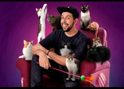 O pai dos gatos com André Assunção em Barueri
