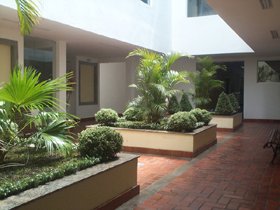 jardim interno 