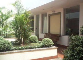 jardim interno 